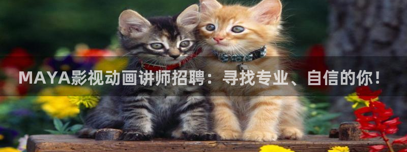 米奇七七七影院：MAYA影视动画讲师招聘：寻找专业、自信的你！