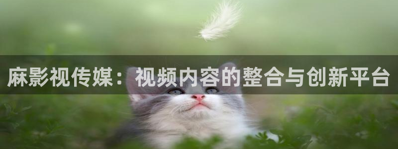 七七影院免费播放电视剧大全：麻影视传媒：视频内容的整合与创新平台