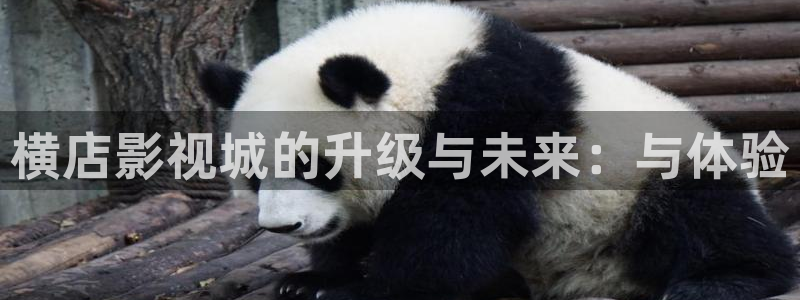 七七影院在线观看：横店影视城的升级与未来：与体验