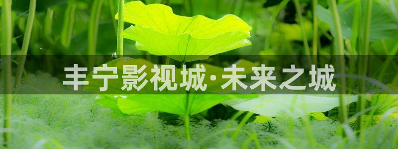 七七影视大全免费：丰宁影视城·未来之城