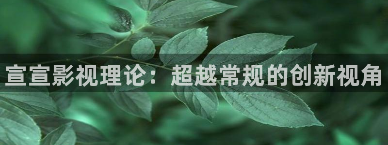 七七影视大全免费观看完整版：宣宣影视理论：超越常规的创新视角